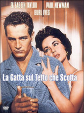 Cover  La gatta sul tetto che scotta