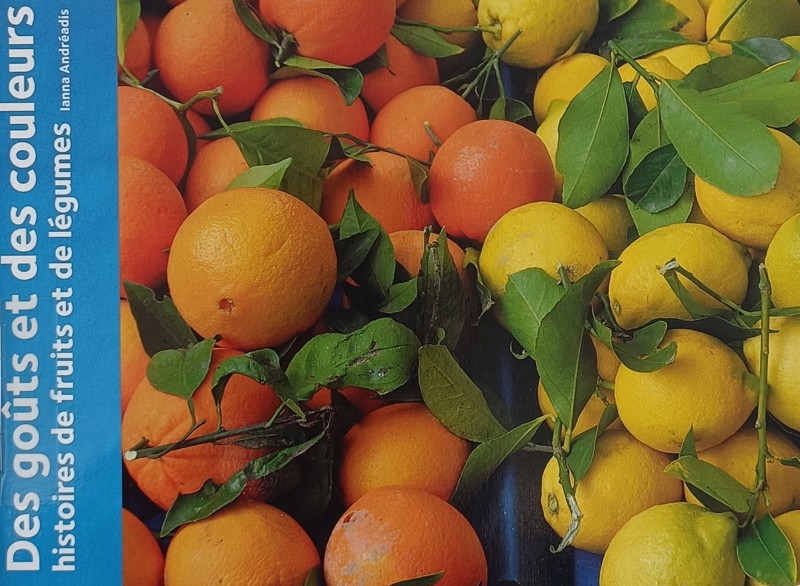 copertina Des goutes et des couleurs histoires de fruits et de legumes