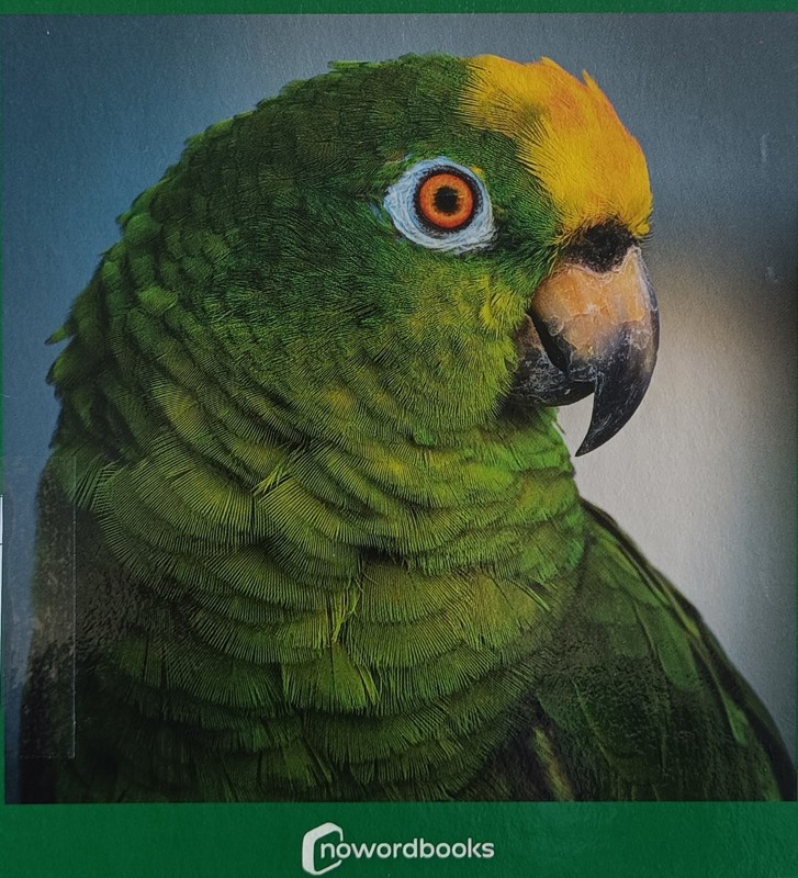 copertina Verde, Verd, Verde, Berde, Green, Vert, Grün, Verde, Verde, πράσινος, зеленый